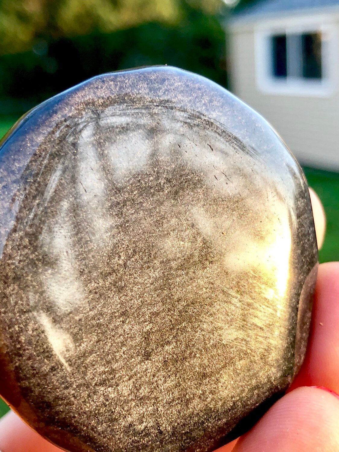 GOLDEN SHEEN, Palmstones!!