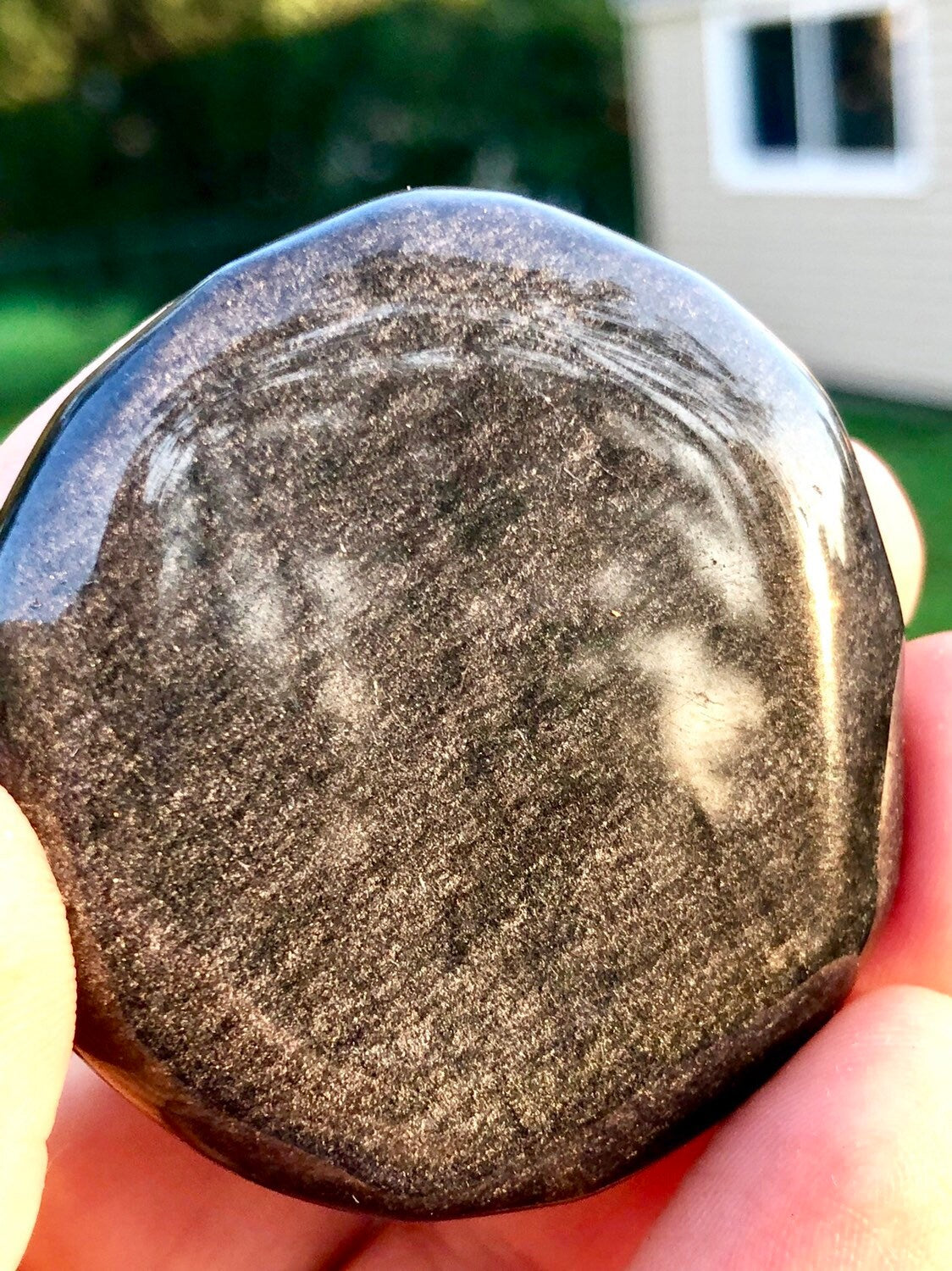 GOLDEN SHEEN, Palmstones!!