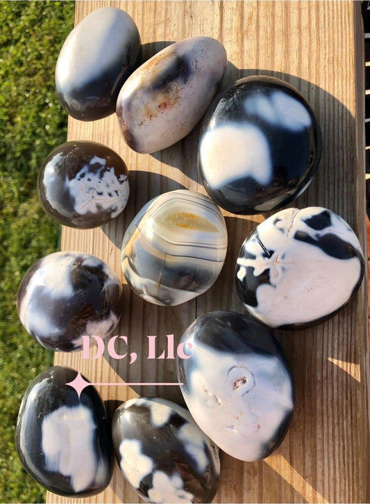 Stunning ORCA BIG PALMSTONES!!’