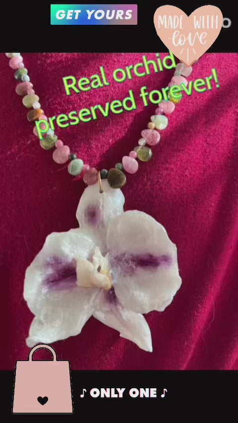 Real dried, white orchid flower, Resin preserved orchid, abalone shell necklace, handmade.