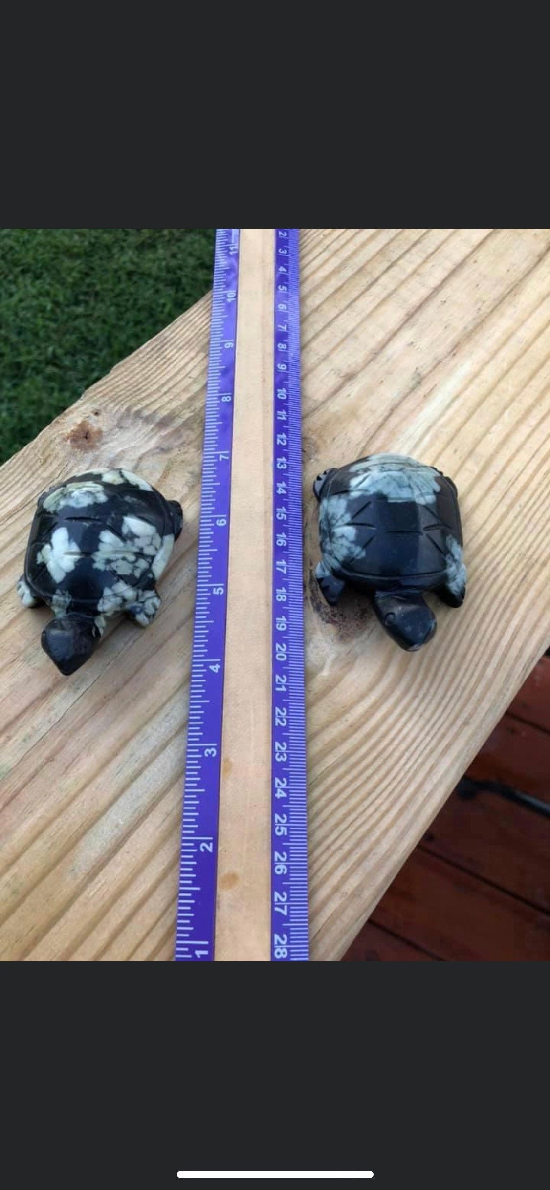 Chrysanthemum, Turtles!!!