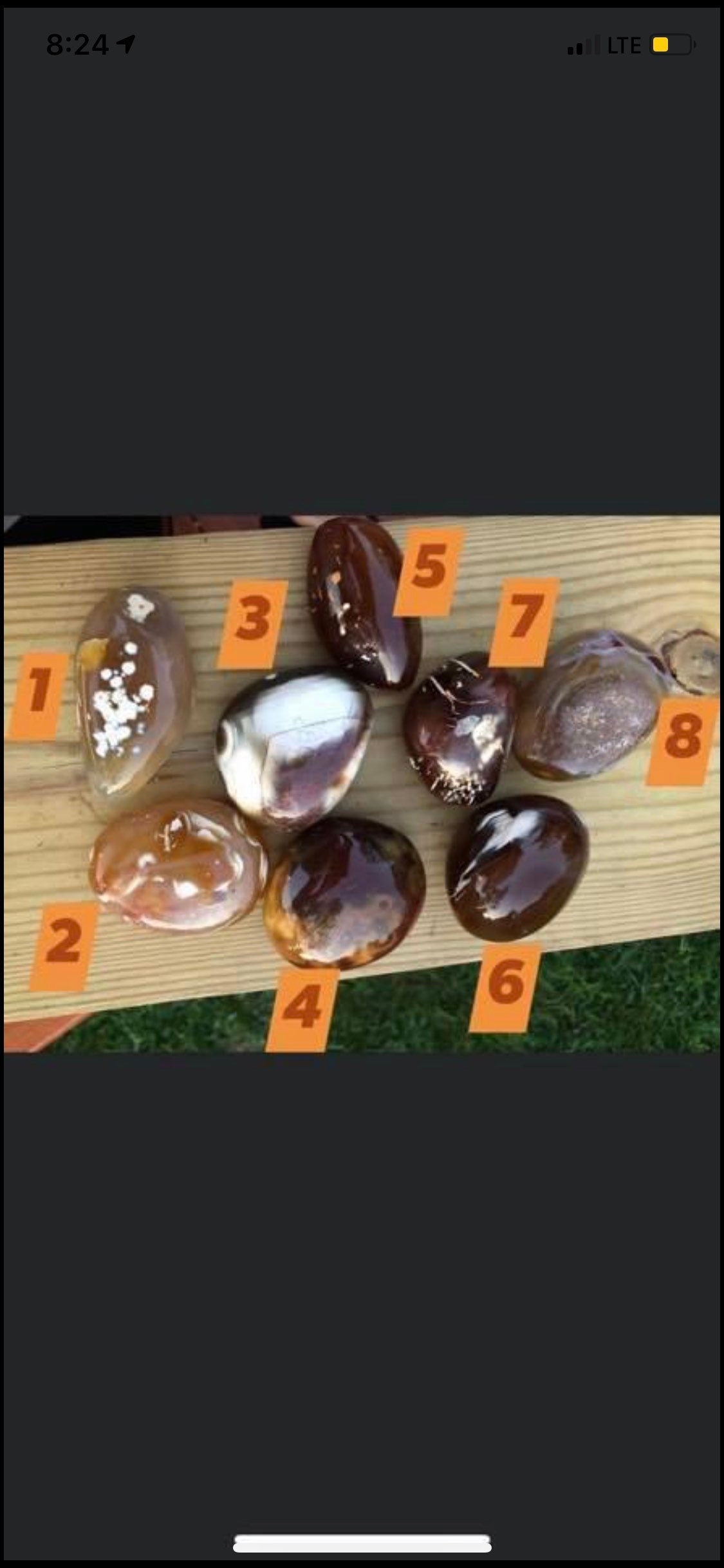 Flower Agate, Big, size, palmstones, Brown color, patters!!