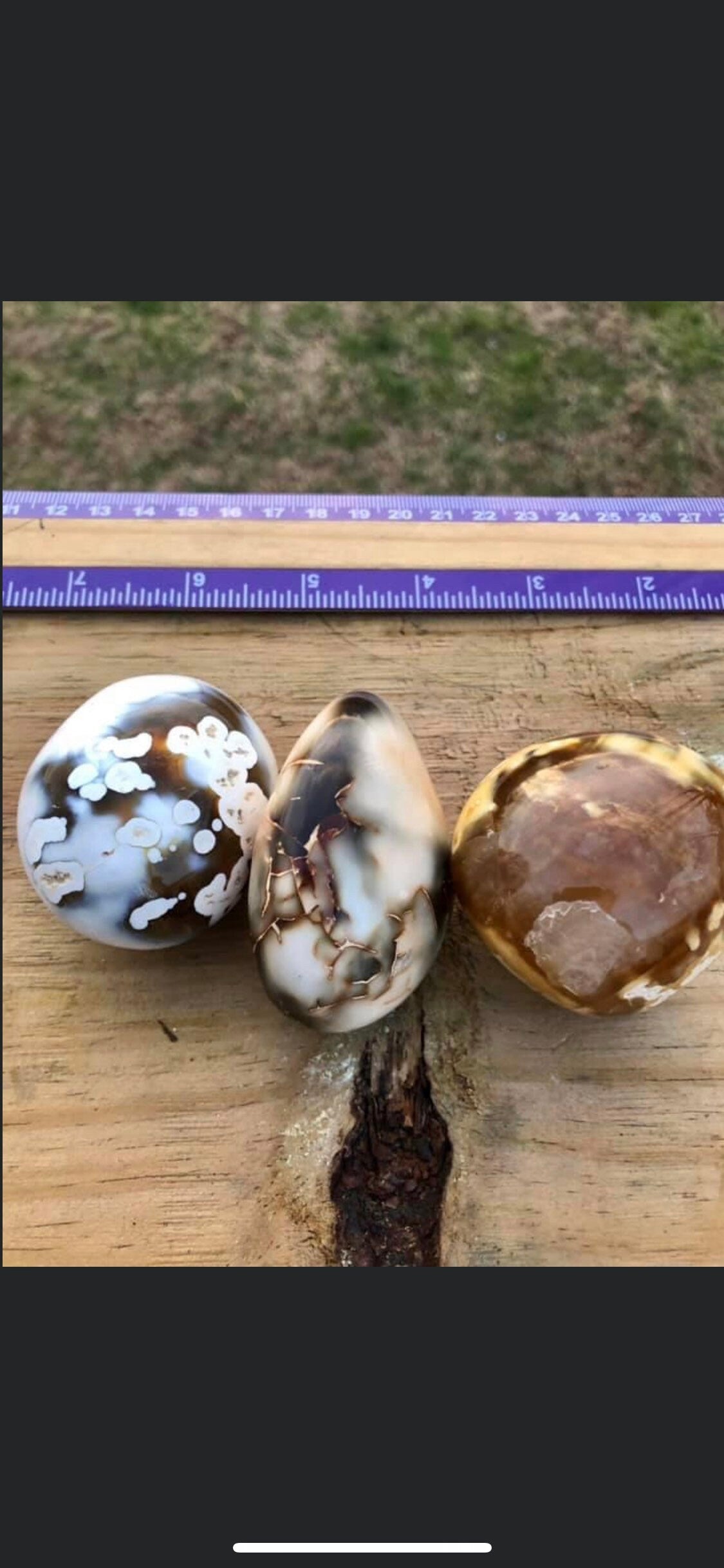 Flower jasper, palmstones, small, big, brown color, white color, patters!!!