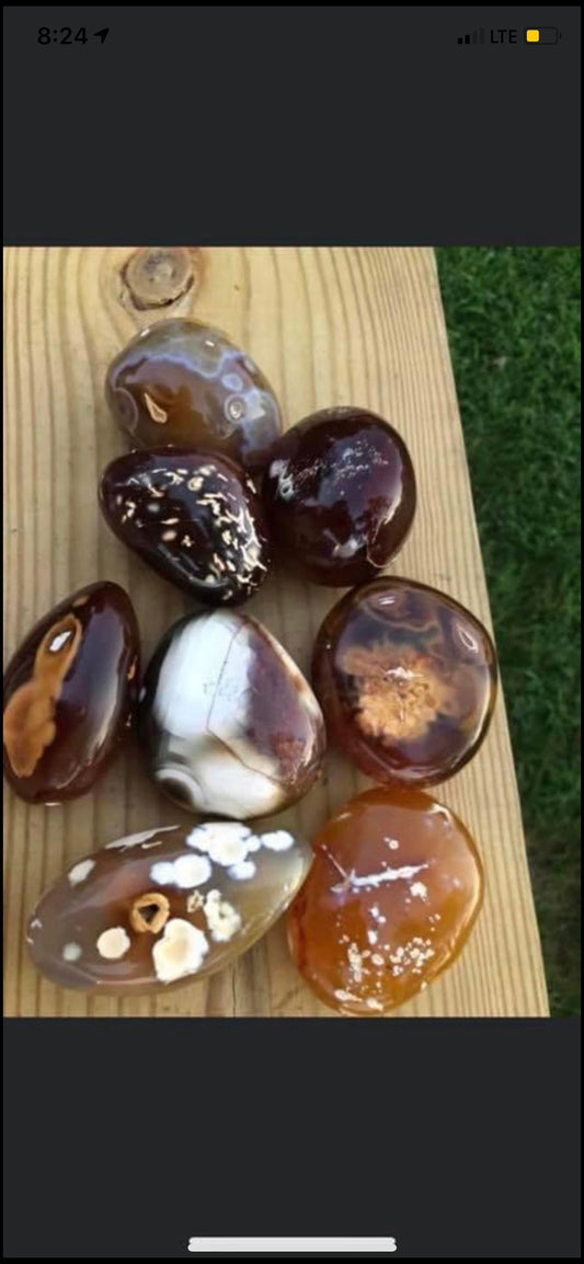Flower Agate, Big, size, palmstones, Brown color, patters!!