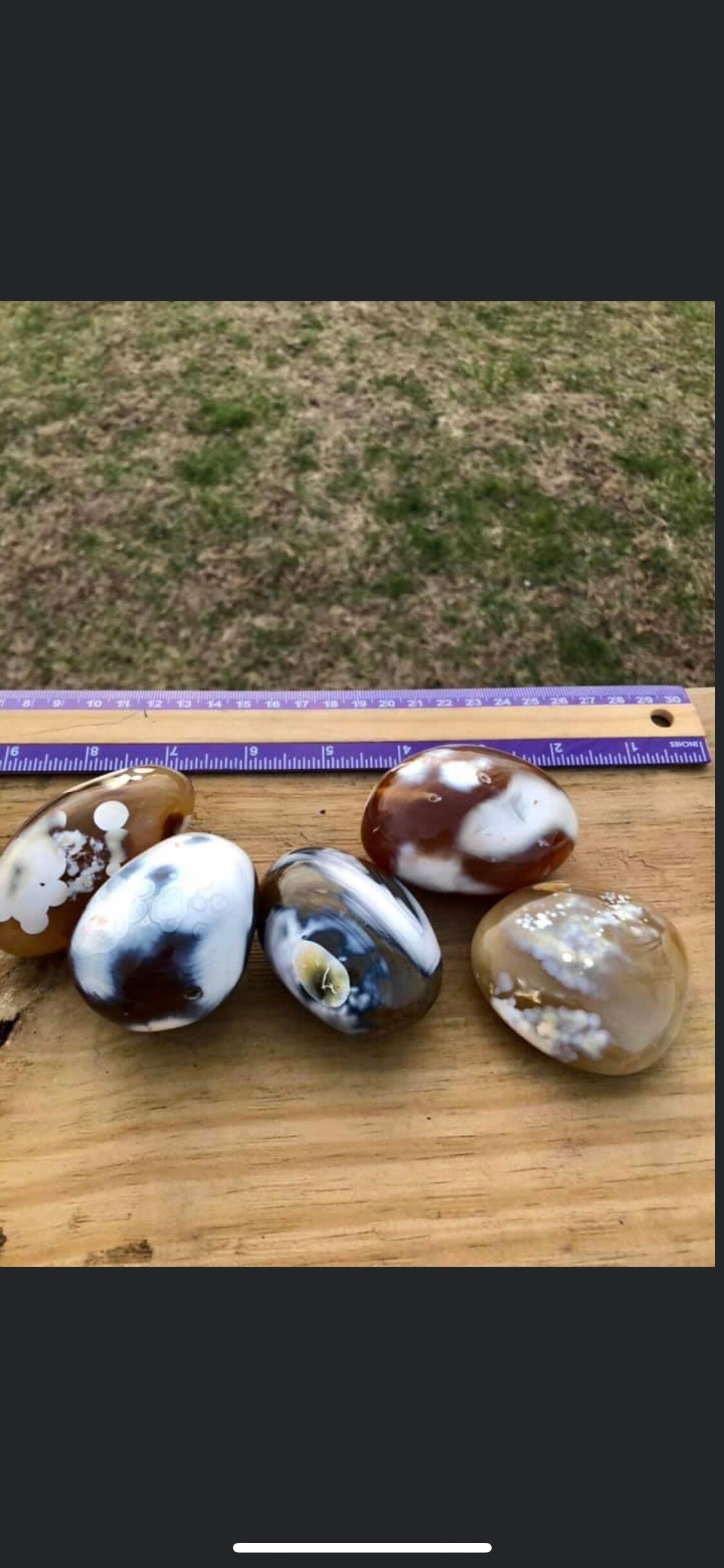 Flower jasper, palmstones, small, big, brown color, white color, patters!!!
