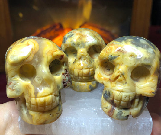 Skulls, CRAZY LACE, Top quality, assorted patters, on sale!!!