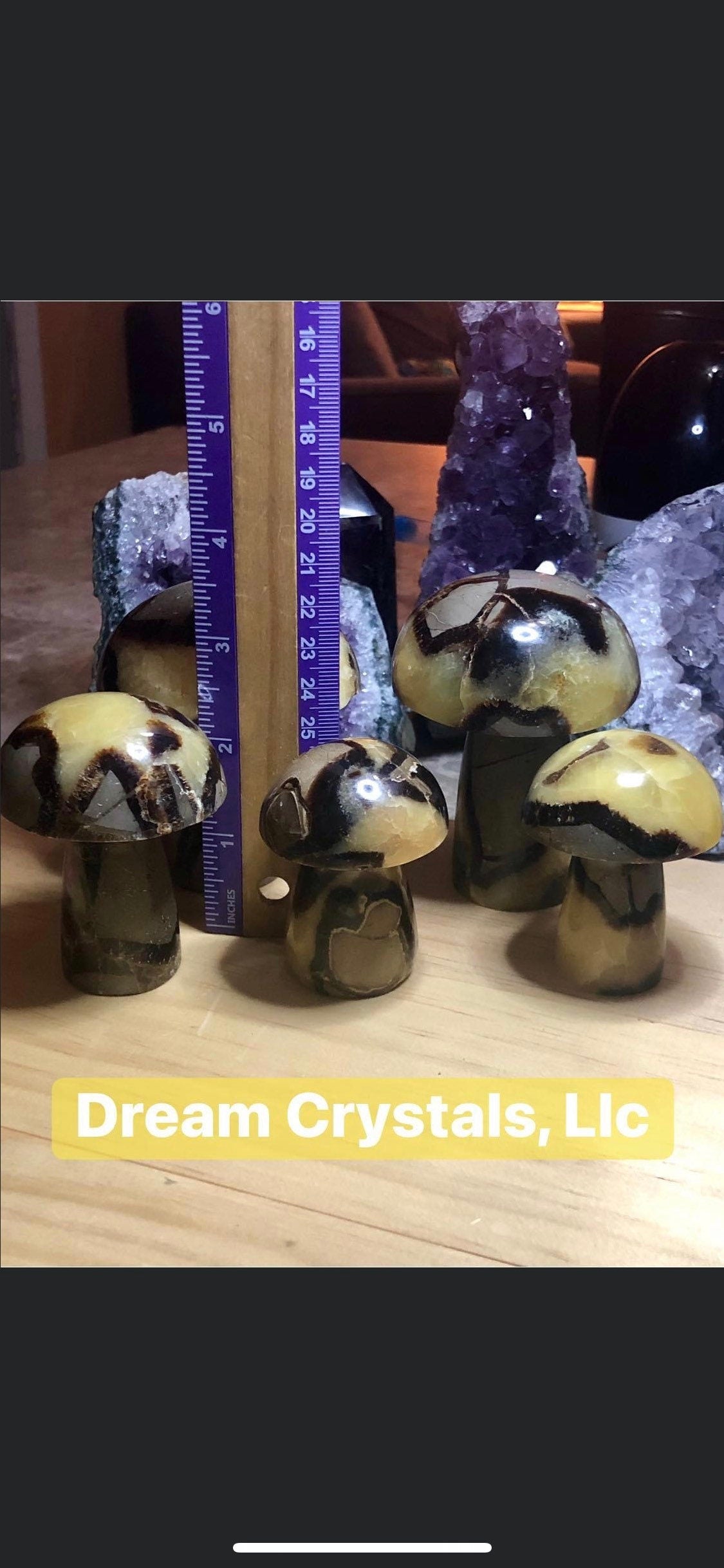 SEPTARIAN, assorted, sizes, druzy, MUSHROOMS, patters!!