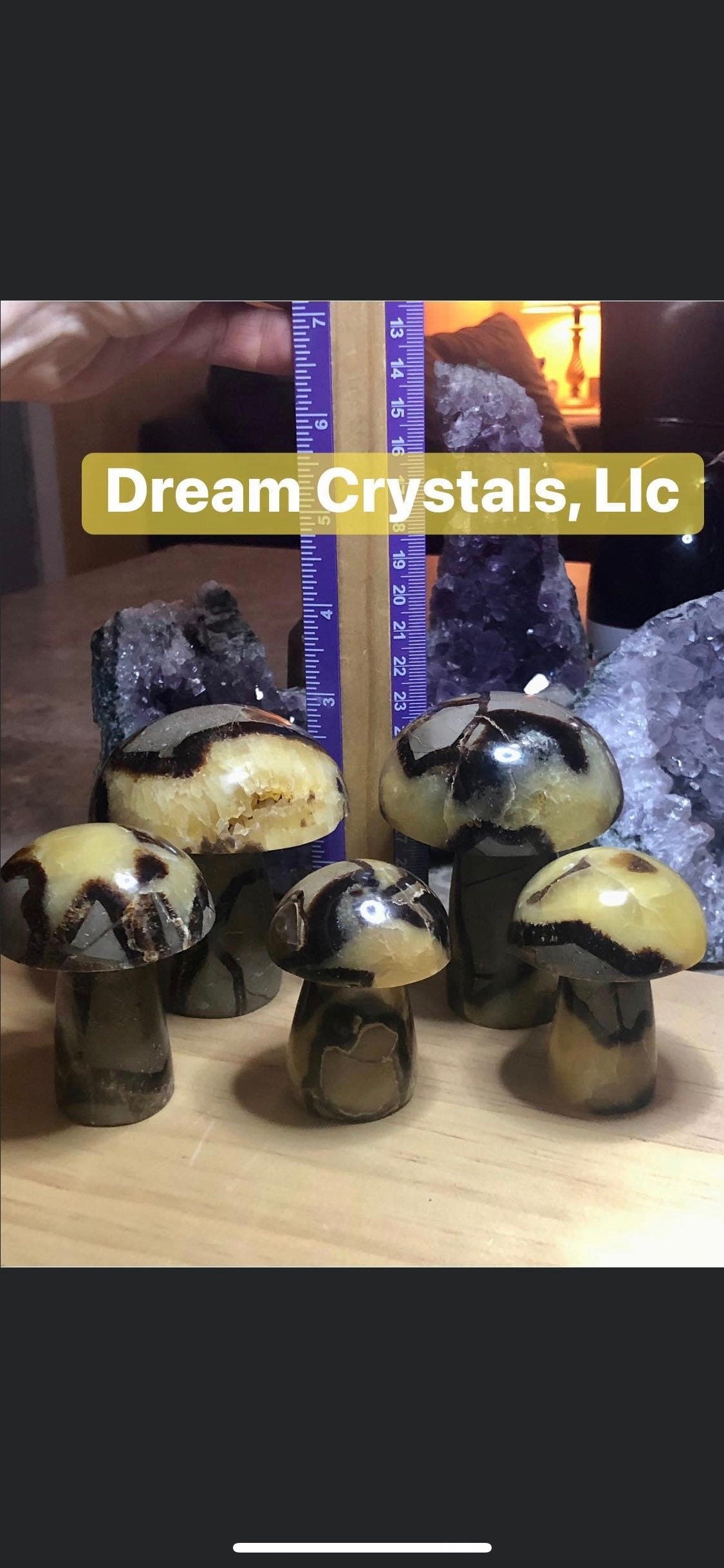 SEPTARIAN, assorted, sizes, druzy, MUSHROOMS, patters!!