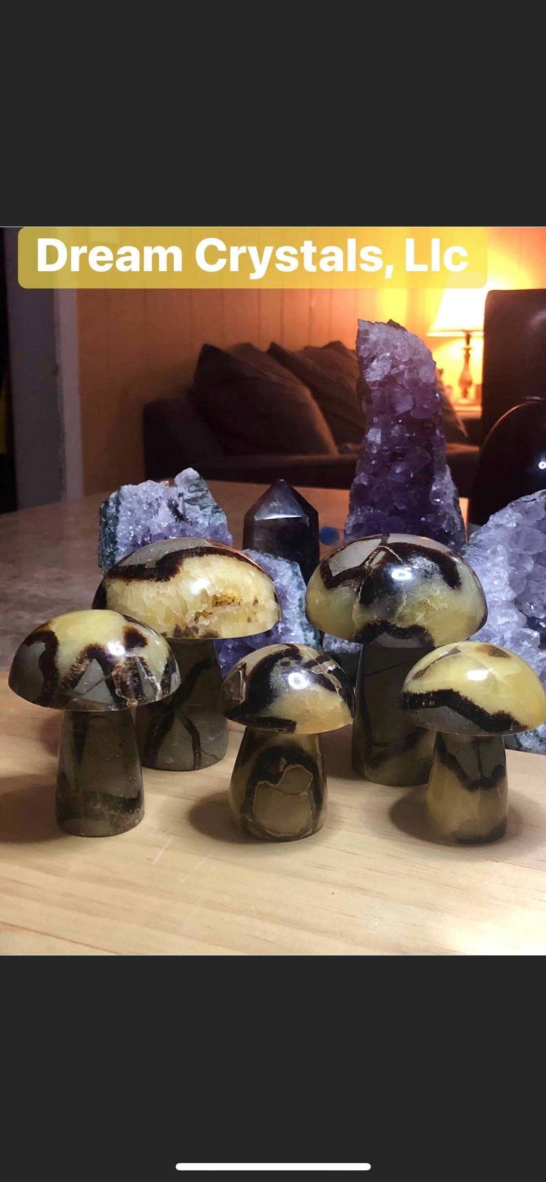 SEPTARIAN, assorted, sizes, druzy, MUSHROOMS, patters!!