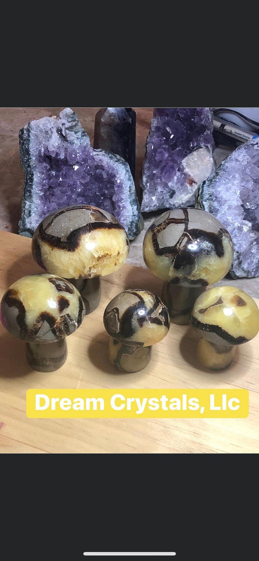SEPTARIAN, assorted, sizes, druzy, MUSHROOMS, patters!!