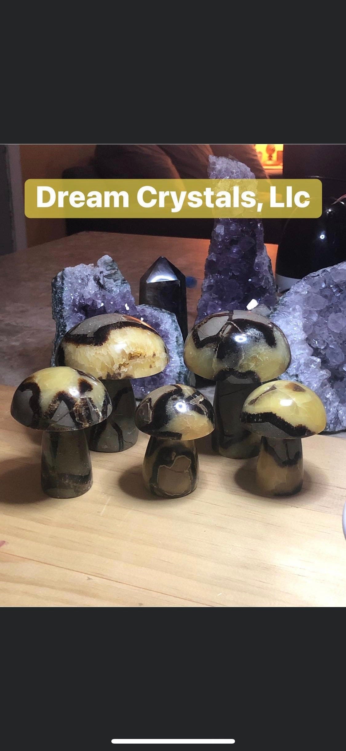 SEPTARIAN, assorted, sizes, druzy, MUSHROOMS, patters!!